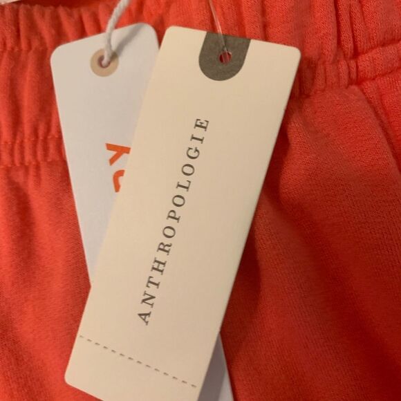 NWT Sundry Shorts - Picture 6 of 9